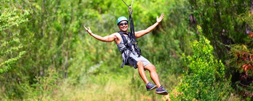 ハーフジップライン(3本)+ワイキキ送迎