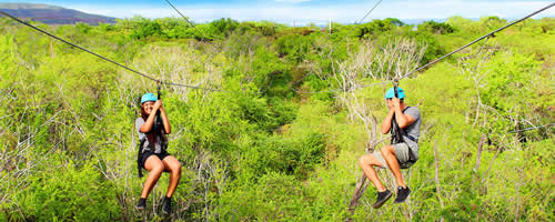 フルジップライン(6本)+ワイキキ送迎