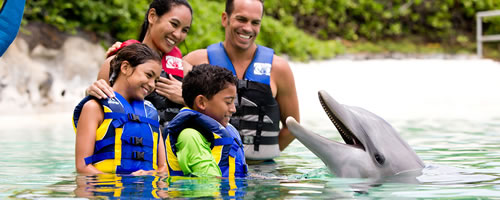 ドルフィン エンカウンター