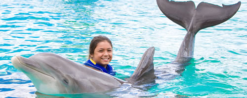 ドルフィン エクスプロレーション