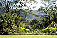 ѓ́uHui La Wai O MakahaṽnCALg , Hui La Wai O Makaha by Library in Makaha, quilted by Kimiko Iijima