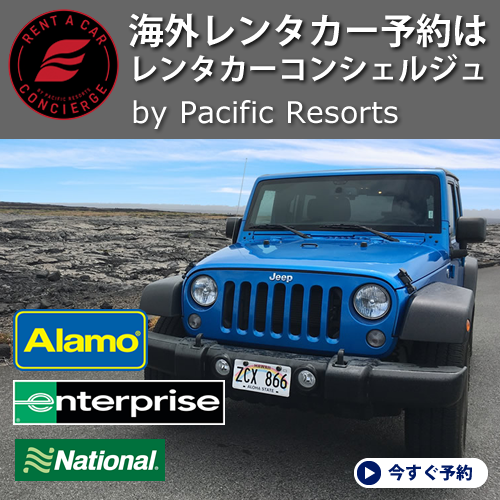 �C�O�����^�J�[�\��̓����^�J�[�R���V�F���W��